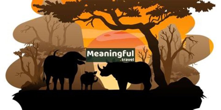 A Journey Of Adventure And Conservation