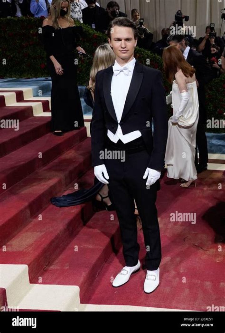 Ansel Elgort's Japanese Language Journey Revealed