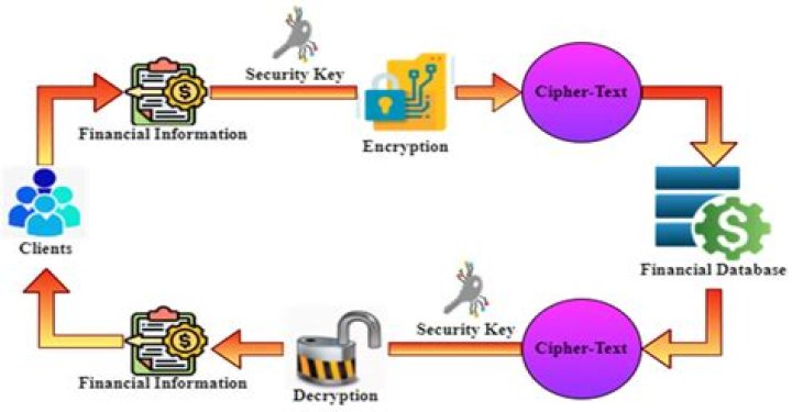 Exploring The Impact Of Chip Fields' Career On Kim Fields' Success