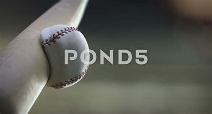 Uncover The Neural Magic Of Baseball Hitting With Michael Graziano