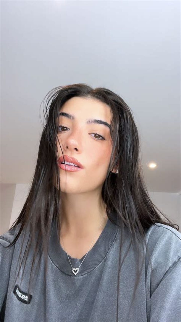 Unveiling Charli D'Amelio's TikTok Journey: Age, Impact, And Lessons